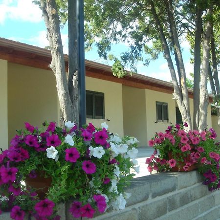 צ'יוויטווקיה Hotel Samarcanda מראה חיצוני תמונה
