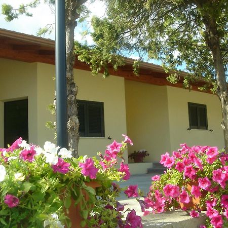 צ'יוויטווקיה Hotel Samarcanda מראה חיצוני תמונה